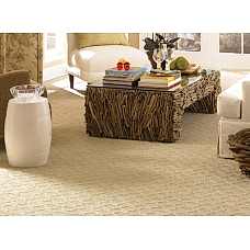 Halı yıkama ümitköy