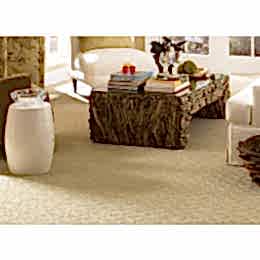 Halı yıkama ümitköy